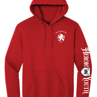 Master Knight Hoodie